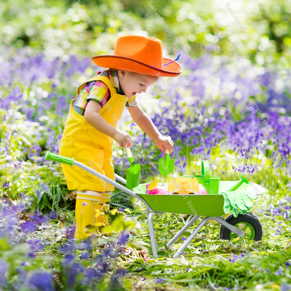 Kids Outdoor Wheelbarrow, Gree - Kids Outdoor Garden avaliação e preço