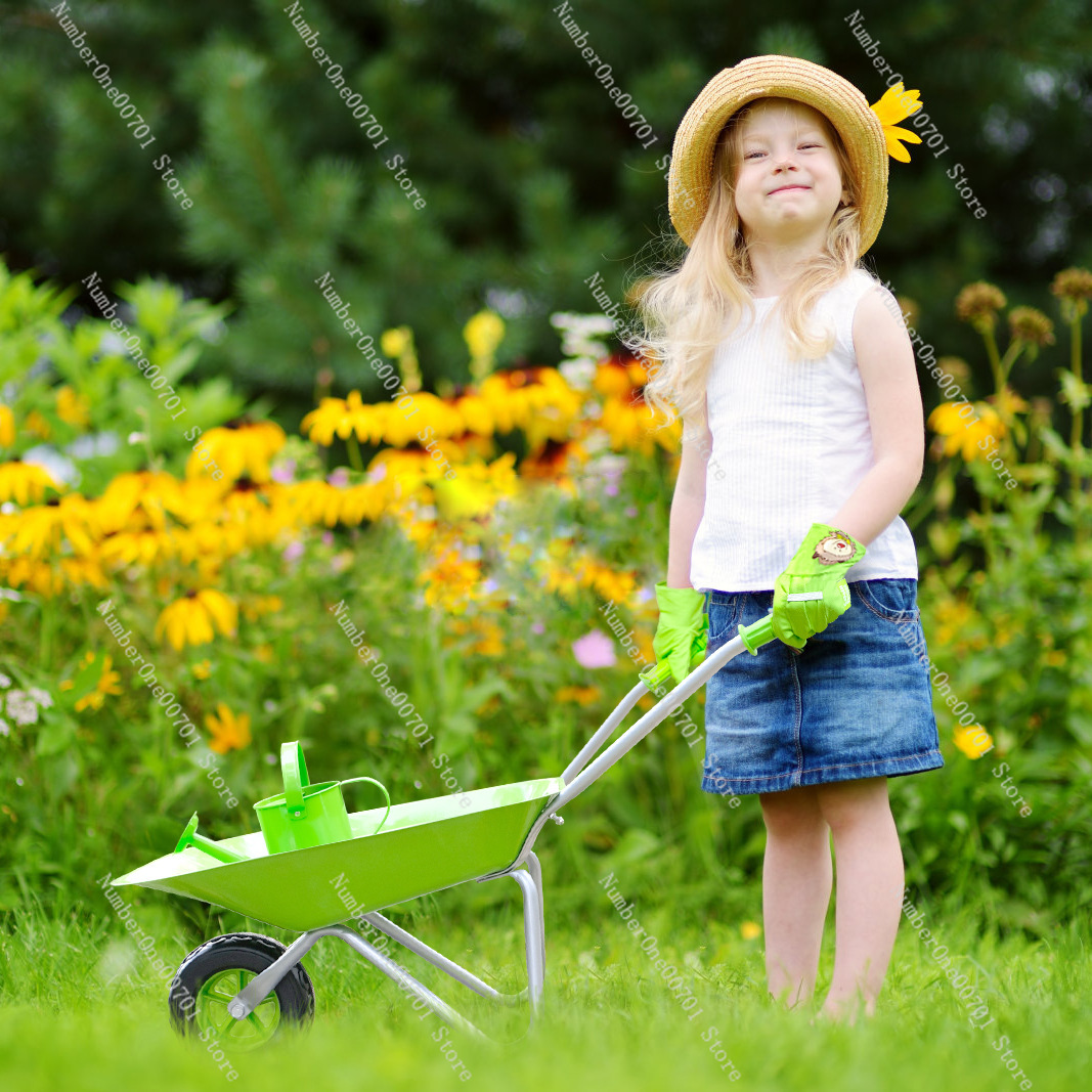 Kids Outdoor Wheelbarrow, Gree - Kids Outdoor Garden avaliação e preço