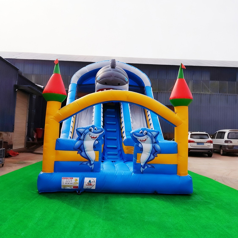 Rentable Small Inflatable Slid - Kids Outdoor Playground avaliação e preço